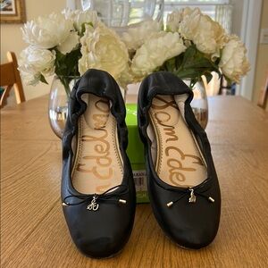 Sam Edelman Felicia Ballet Flats